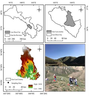 Distribution Characteristics of SOC, STN, and STP Contents Along a Slope Aspect Gradient of Loess Plateau in China